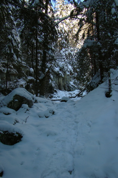 Siná (Nízke Tatry)