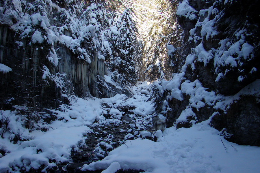 Siná (Nízke Tatry)