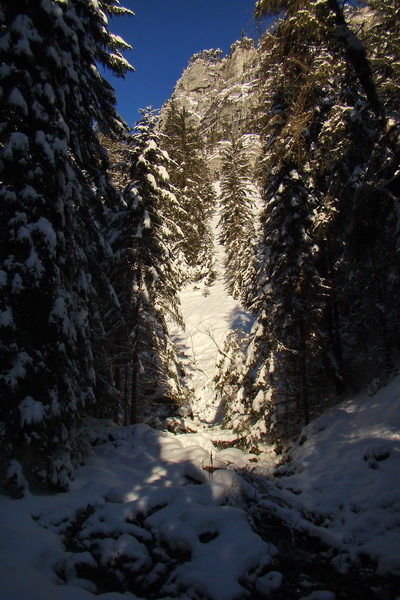 Siná (Nízke Tatry)