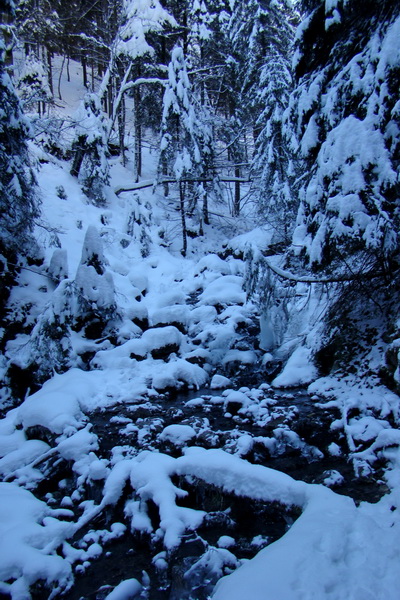 Siná (Nízke Tatry)