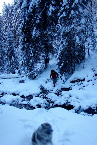 Siná (Nízke Tatry)