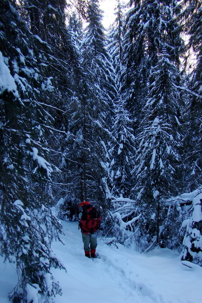 Siná (Nízke Tatry)