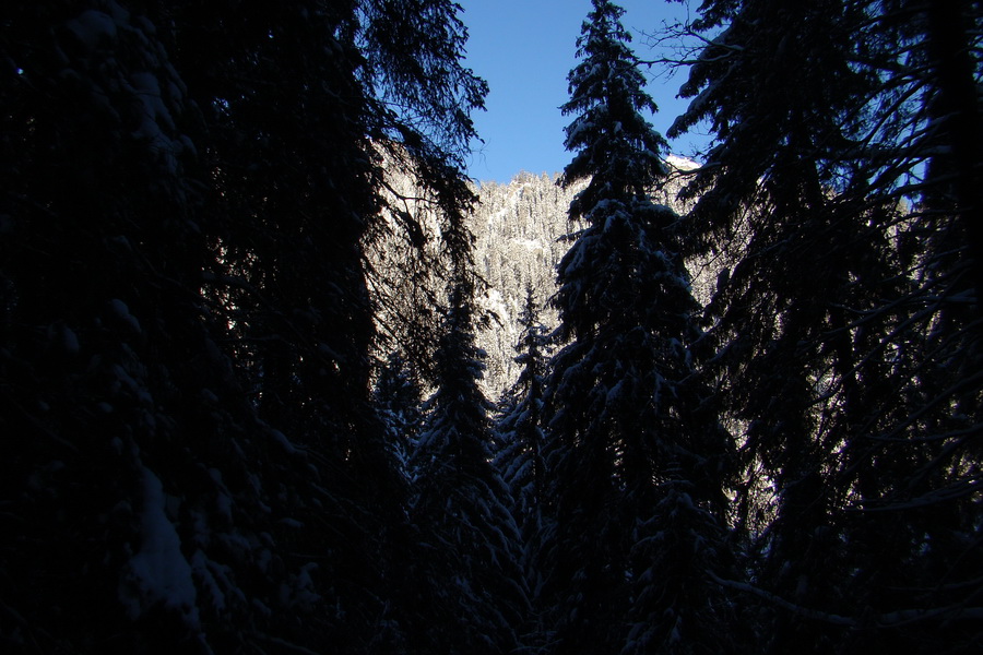 Siná (Nízke Tatry)