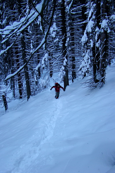 Siná (Nízke Tatry)