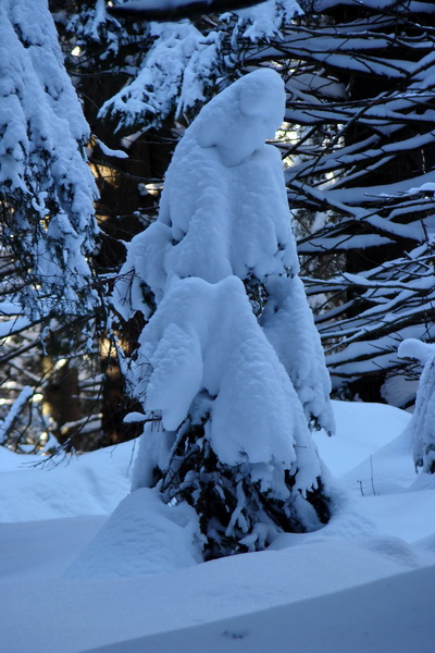 Siná (Nízke Tatry)