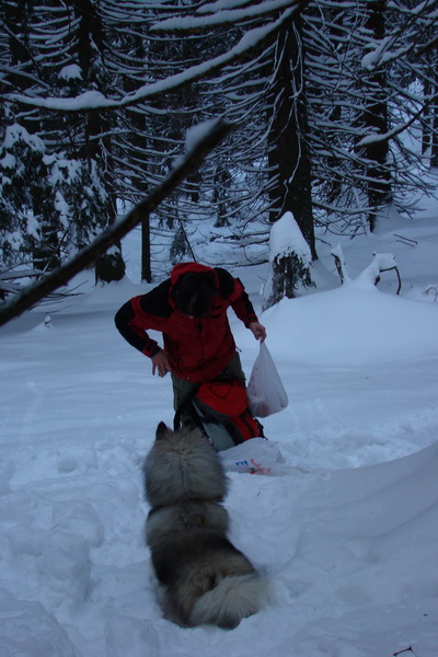 Siná (Nízke Tatry)