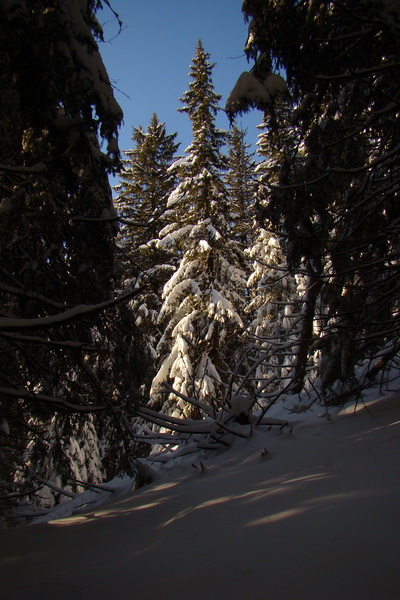 Siná (Nízke Tatry)