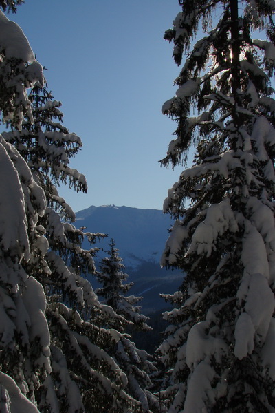 Siná (Nízke Tatry)