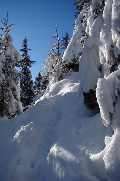 Siná (Nízke Tatry)