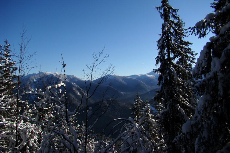 Siná (Nízke Tatry)