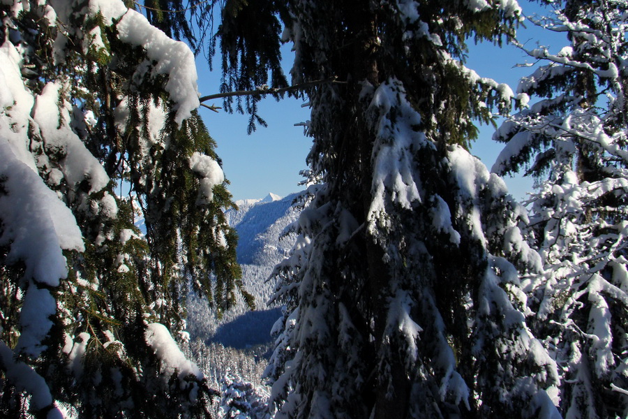 Siná (Nízke Tatry)