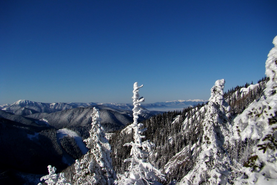 Siná (Nízke Tatry)