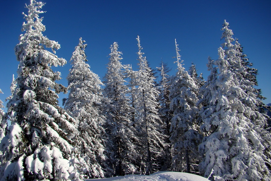 Siná (Nízke Tatry)