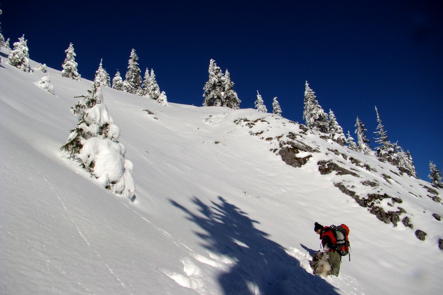 Siná (Nízke Tatry)