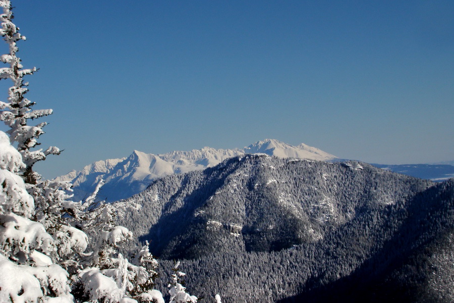 Siná (Nízke Tatry)