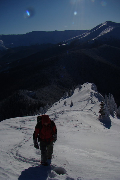 Siná (Nízke Tatry)