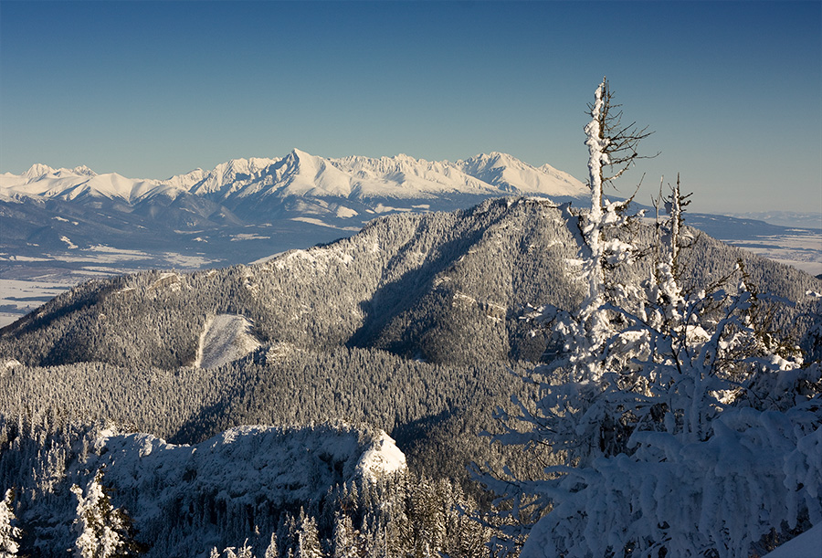 Siná (Nízke Tatry)