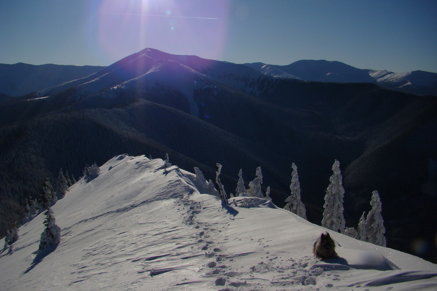 Siná (Nízke Tatry)