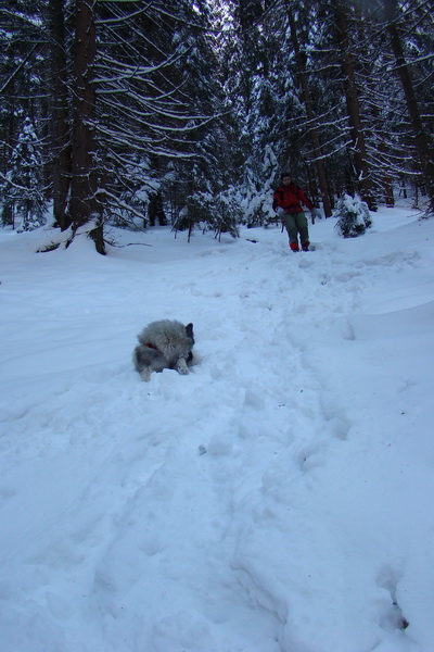 Siná (Nízke Tatry)