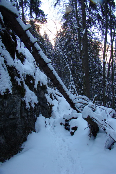 Siná (Nízke Tatry)