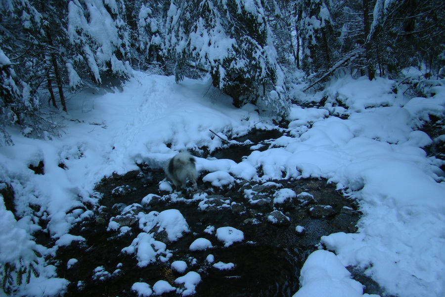 Siná (Nízke Tatry)