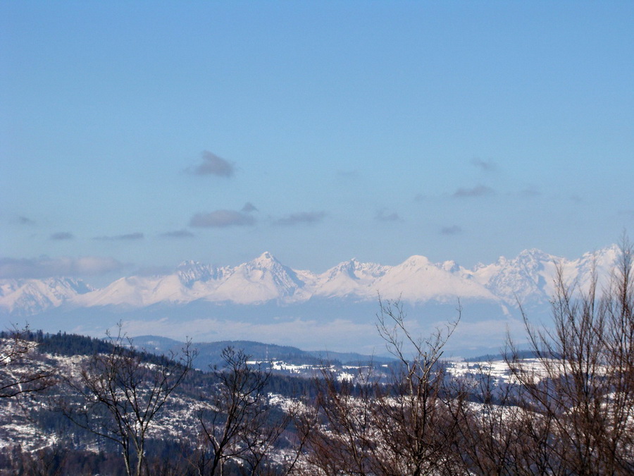 Zlatý stôl (Volovské vrchy)