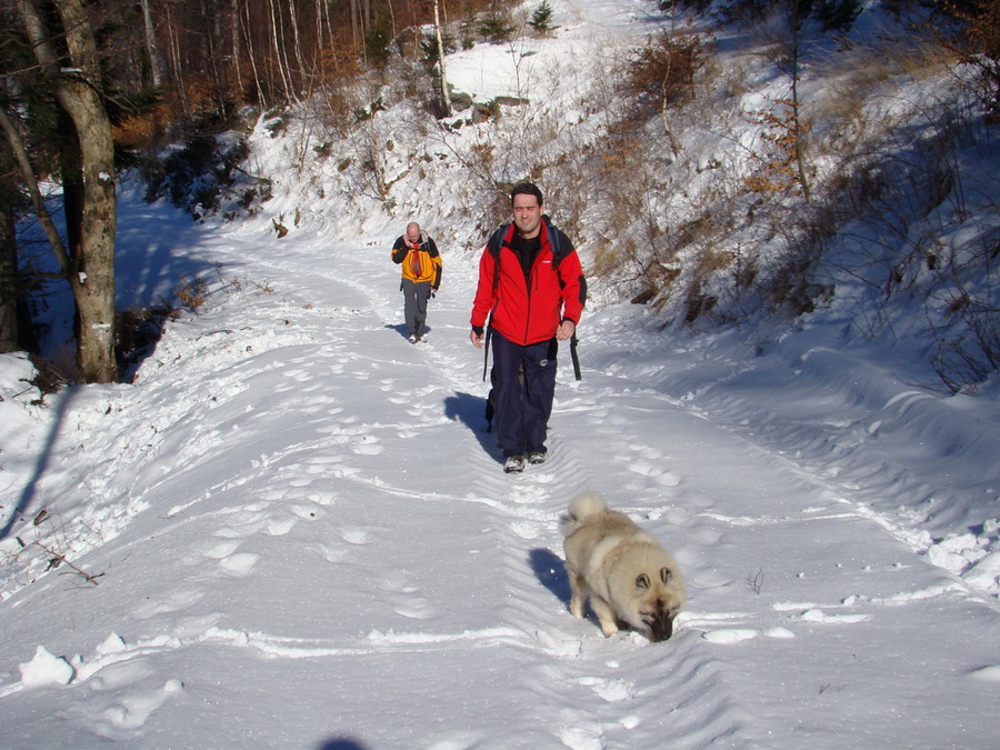 Zlatý stôl (Volovské vrchy)