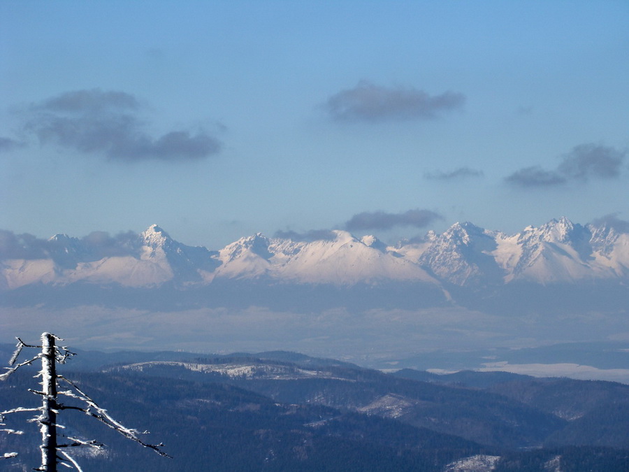 Zlatý stôl (Volovské vrchy)