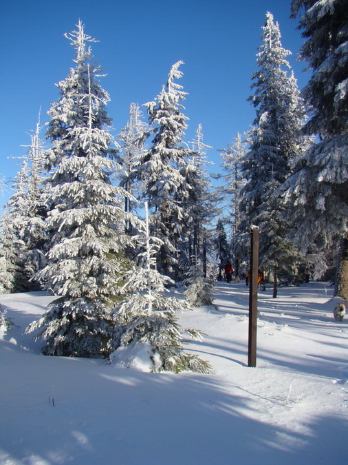 Zlatý stôl (Volovské vrchy)