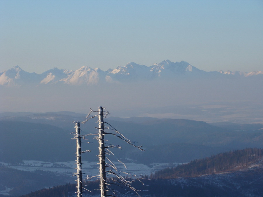 Zlatý stôl (Volovské vrchy)