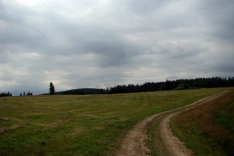 Andrejcová z Tatranskej Štrby (Nízke Tatry)