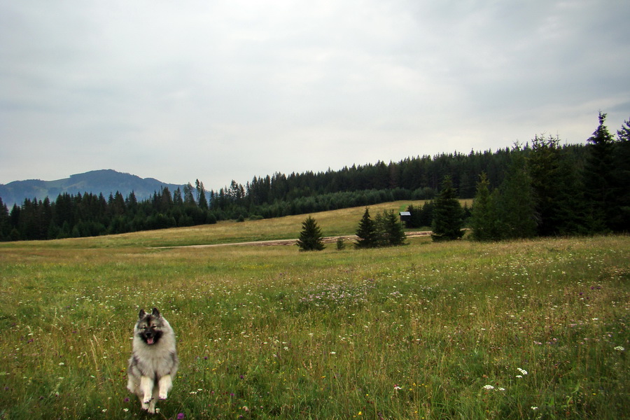 Andrejcová z Tatranskej Štrby (Nízke Tatry)