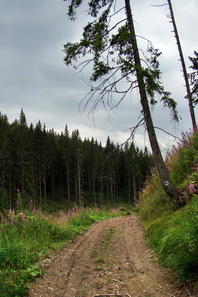 Andrejcová z Tatranskej Štrby (Nízke Tatry)