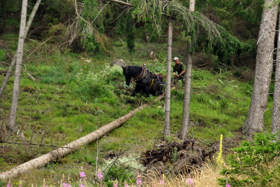 Andrejcová z Tatranskej Štrby (Nízke Tatry)