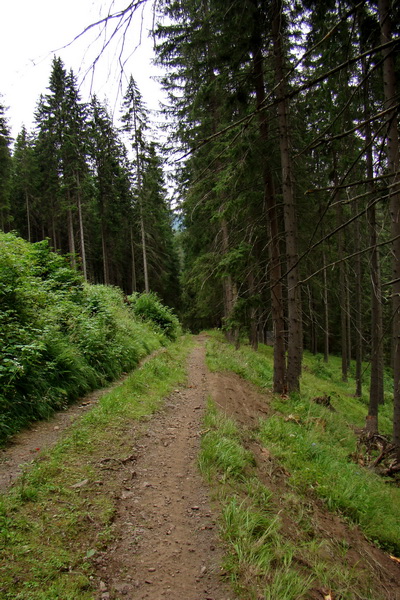 Andrejcová z Tatranskej Štrby (Nízke Tatry)