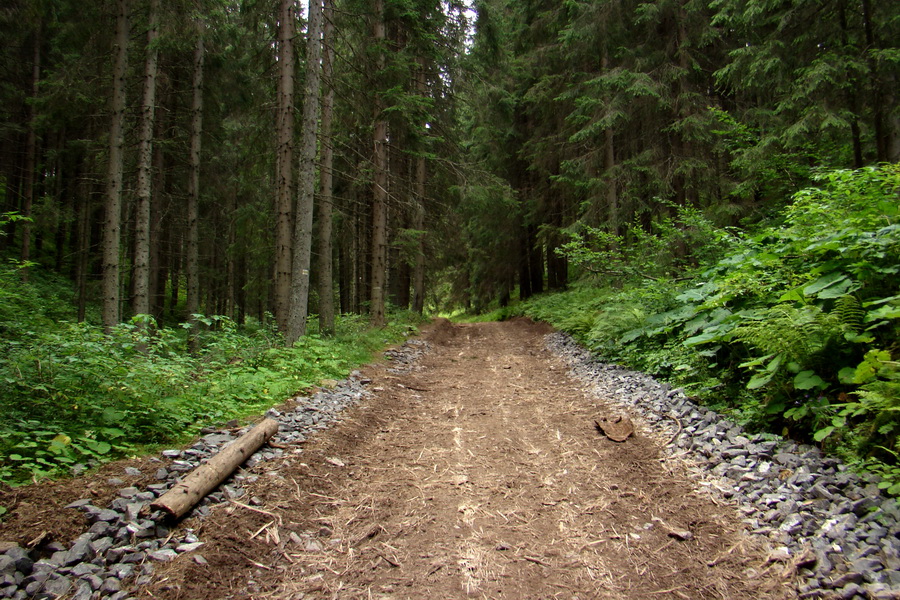 Andrejcová z Tatranskej Štrby (Nízke Tatry)