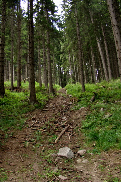 Andrejcová z Tatranskej Štrby (Nízke Tatry)