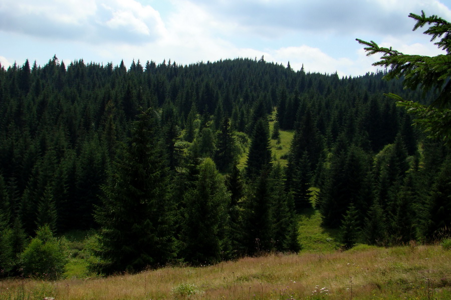 Andrejcová z Tatranskej Štrby (Nízke Tatry)