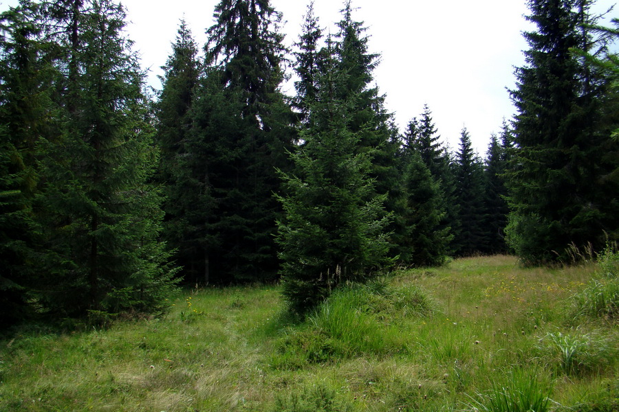 Andrejcová z Tatranskej Štrby (Nízke Tatry)