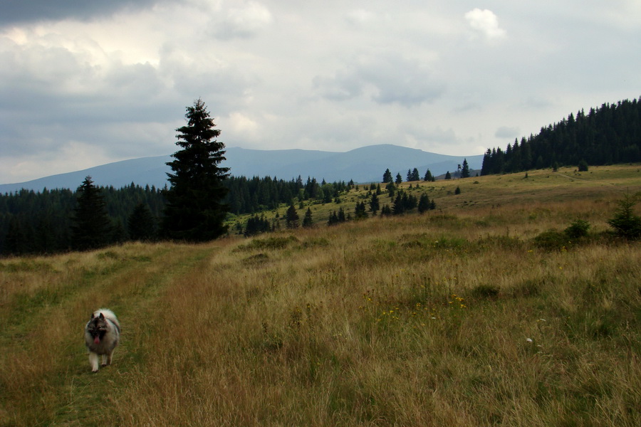 Andrejcová z Tatranskej Štrby (Nízke Tatry)