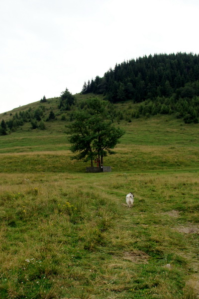 Andrejcová z Tatranskej Štrby (Nízke Tatry)