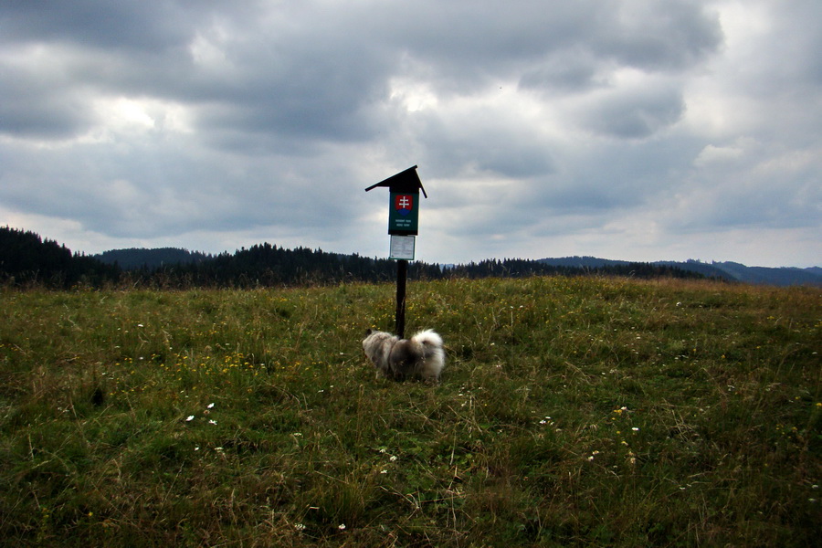 Andrejcová z Tatranskej Štrby (Nízke Tatry)