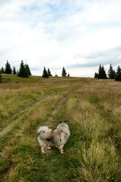 Andrejcová z Tatranskej Štrby (Nízke Tatry)