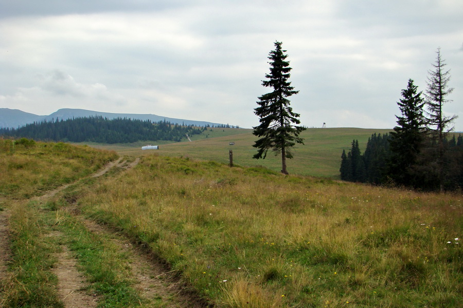 Andrejcová z Tatranskej Štrby (Nízke Tatry)