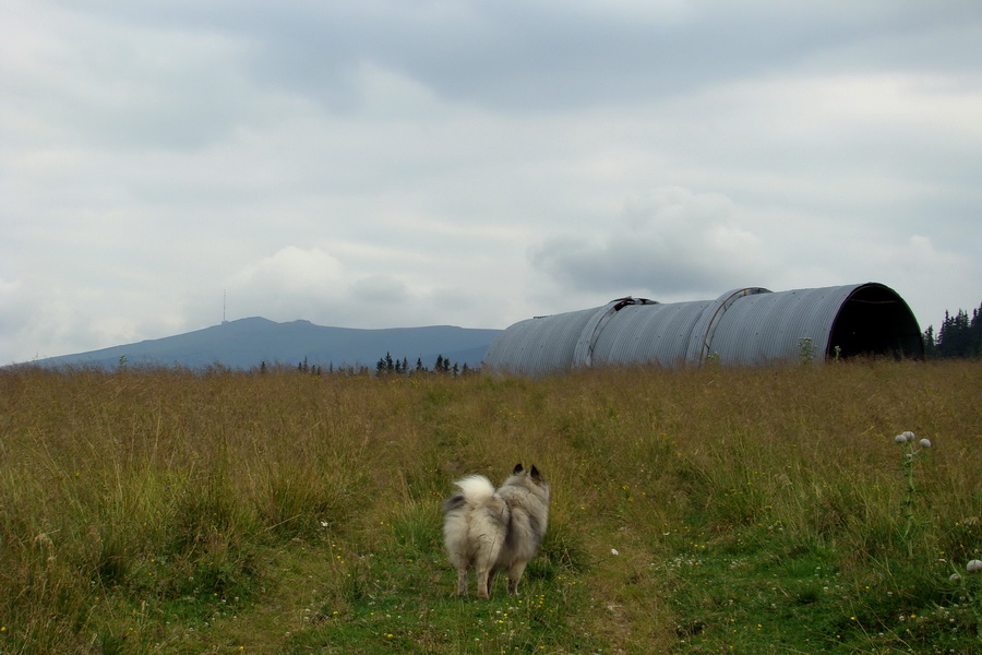 Andrejcová z Tatranskej Štrby (Nízke Tatry)