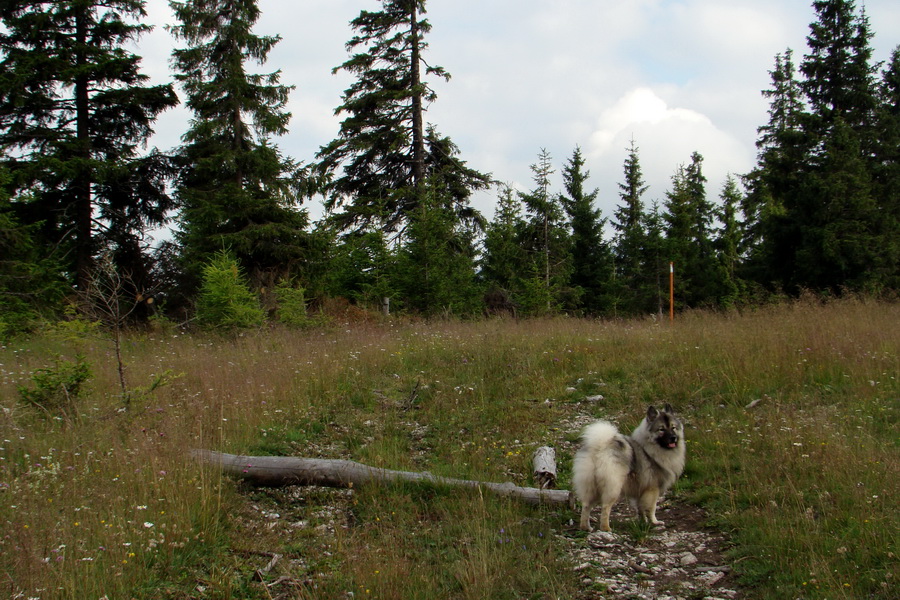 Andrejcová z Tatranskej Štrby (Nízke Tatry)