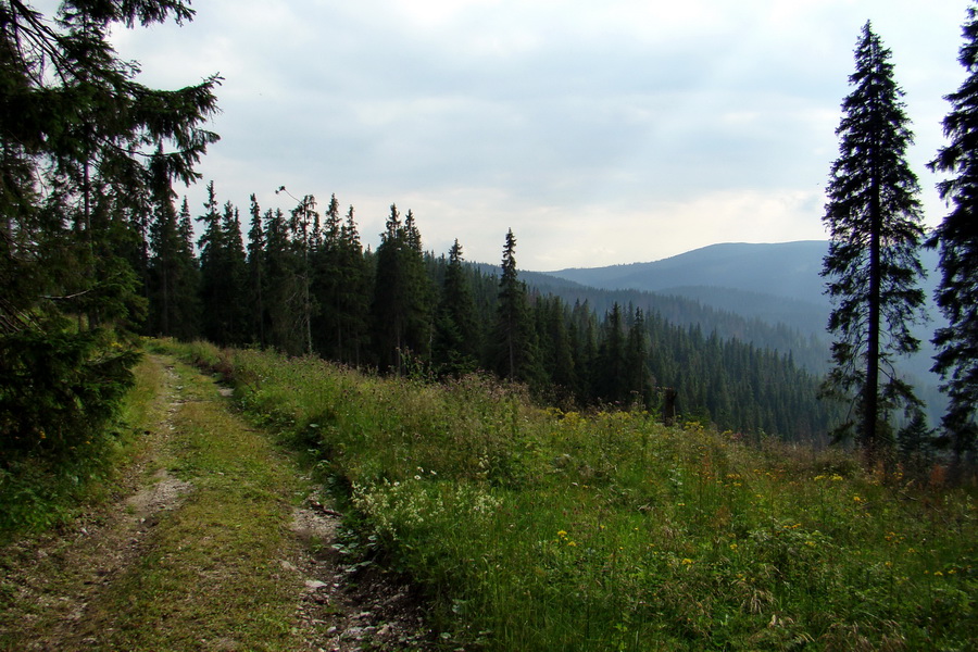 Andrejcová z Tatranskej Štrby (Nízke Tatry)