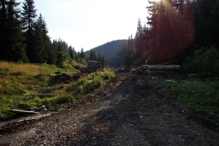 Andrejcová z Tatranskej Štrby (Nízke Tatry)