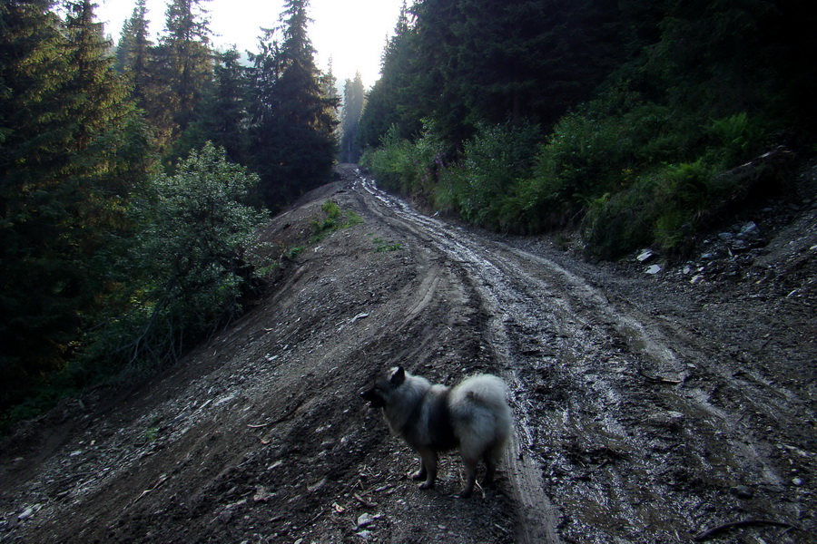 Andrejcová z Tatranskej Štrby (Nízke Tatry)