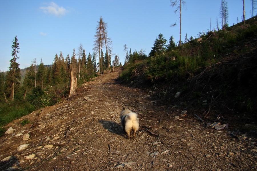 Andrejcová z Tatranskej Štrby (Nízke Tatry)